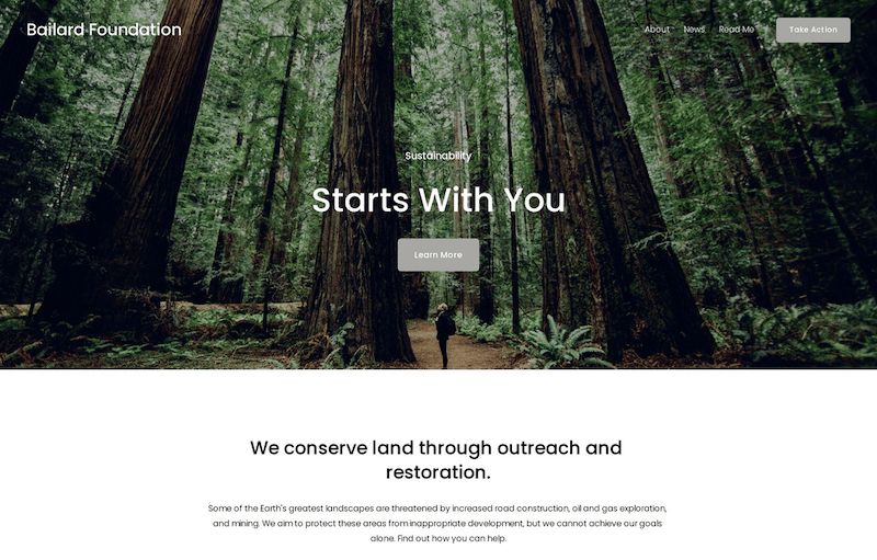 Squarespace Vs. WordPress: Which Is Better? 28 Bailards Foundation homepage