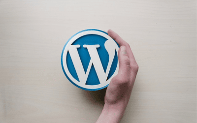 A Comprehensive Guide to WordPress Web Development for Beginners