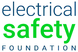 Power Up Your Online Presence: Electrical Websites Tips to Make You Wired for Success 9 photo from ESFI