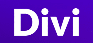 Your Guide To Finding The Best Wordpress Theme 15 divi