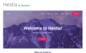 Your Guide To Finding The Best Wordpress Theme 21 Screenshot 2024 01 30 214753