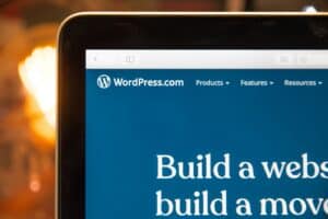 Finding The Right WordPress Developer To Optimize Your WordPress Development Environment 10 best wordpress theme