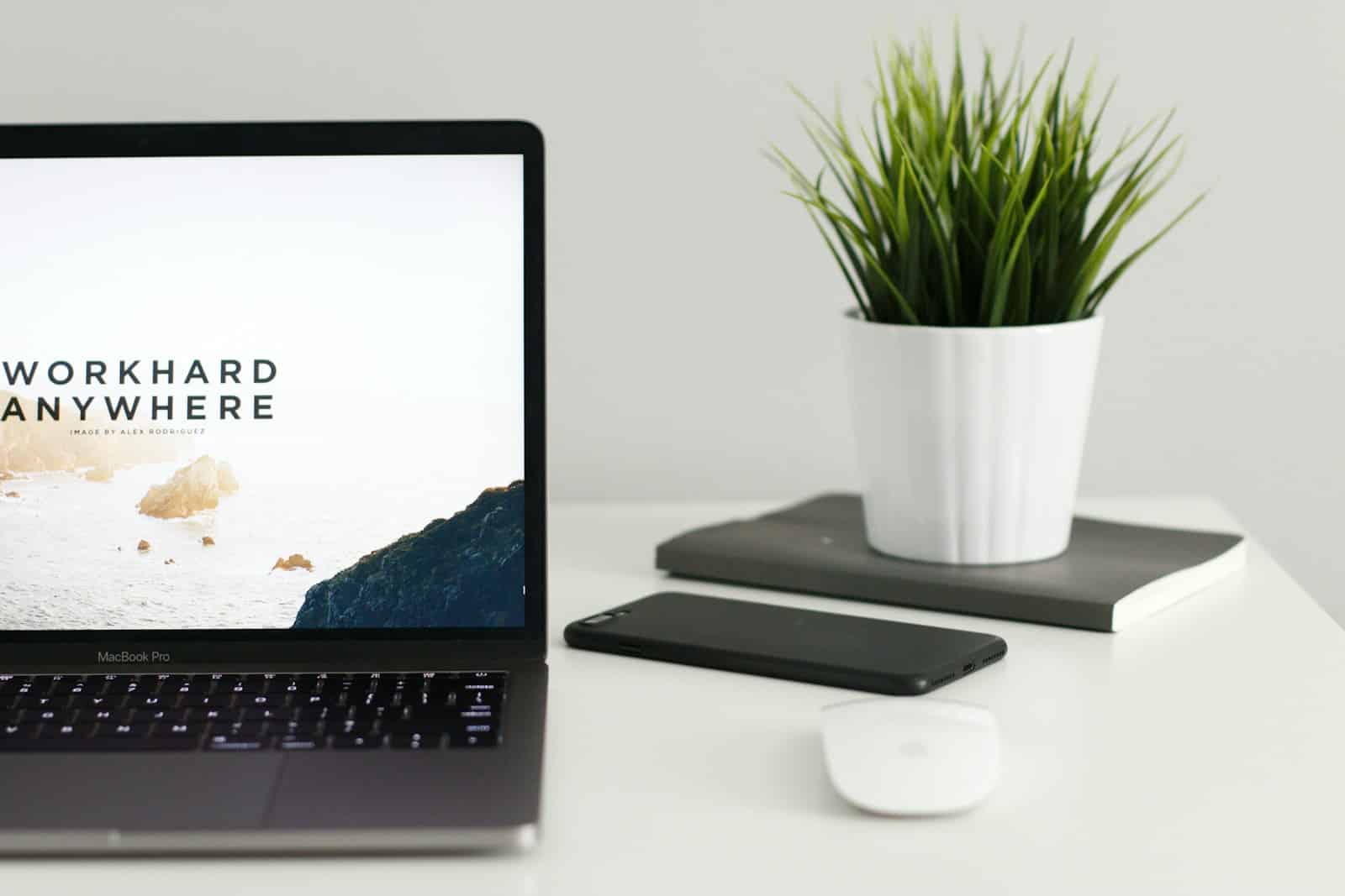 Wix vs Squarespace | Choosing the Best Website Builder for Small Business Owners 18 MacBook Pro near green potted plant on table