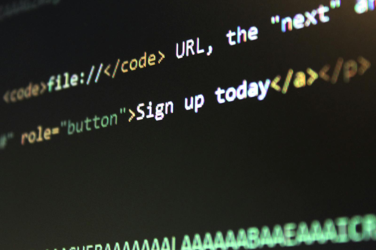 Photo by Pixabay Detailed view of HTML and CSS code on a computer screen, concept of programming. ecommerce website development