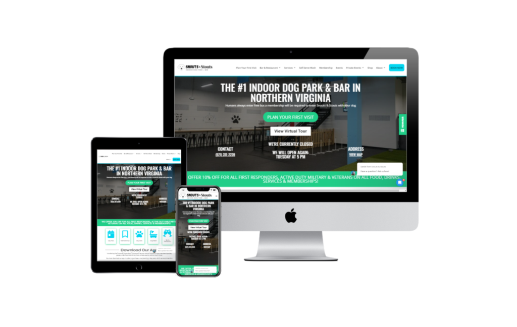 Web Design Services for Small Business Success with Priceless Consulting 29 vid 66b25d0f67494