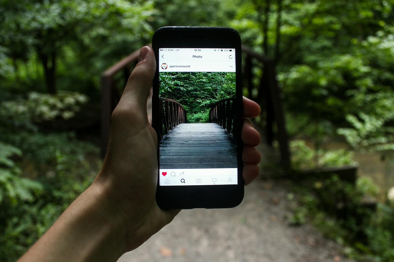 Photo by Jeremy Levin A hand holds a smartphone capturing a forest bridge in a natural setting. social media audit