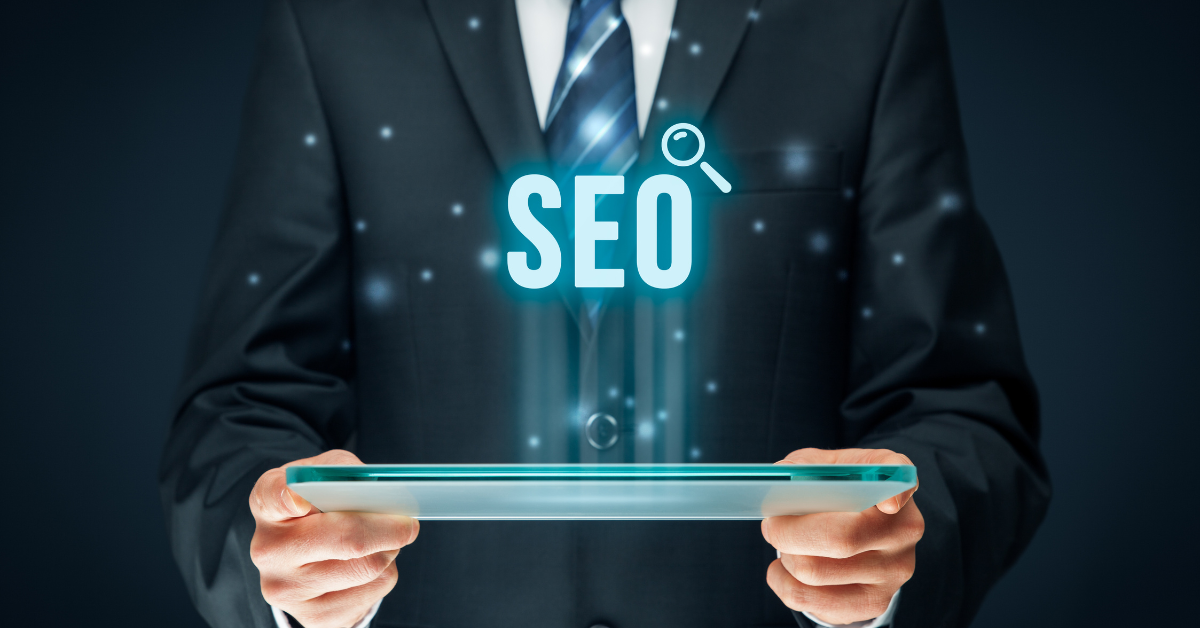 professional seo consultant professional seo consultant